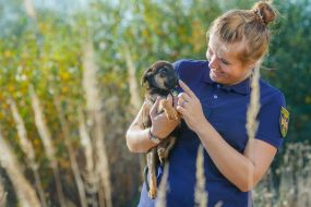 The lifeguard holds the puppy