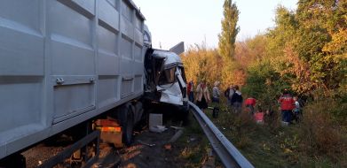 Медики осматривают детей