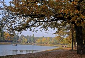 Lake view in the autumn park