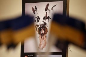 Photopanel at the exhibition