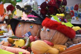 Halloween celebration