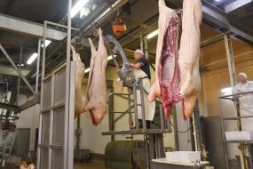 Shop for meat processing