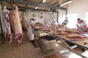 Shop for meat processing
