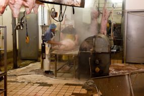 Shop for meat processing