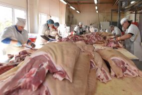 Shop for meat processing
