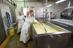 Dairy production workshop