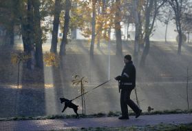 Мужчина выгуливает собаку в парке
