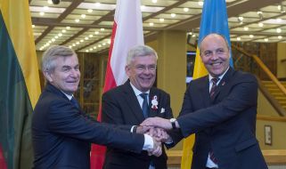 Stanislav Karchevsky, Viktoras Prancetysis, Andriy Parubiy