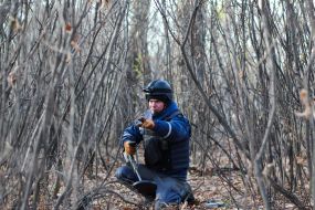 Demining in the Luhansk region