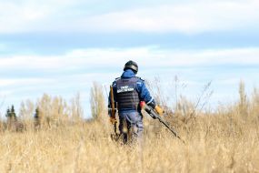 Demining in the Luhansk region