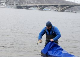 Зарыбление акватории Днепра
