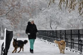 A woman with two dogs passes the pedestrian bridge in the park