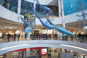 Poster in Ocean Plaza Shopping and Entertainment Center