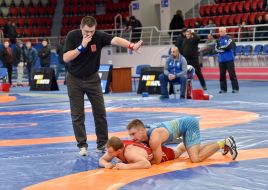 All-Ukrainian Cup in Greco-Roman wrestling in Zaporizhia