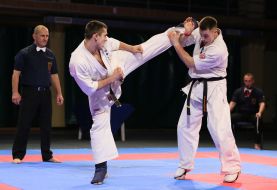 Competition "Ukrainian Combat Games" on martial arts