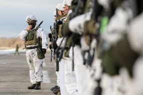 Ukrainian Air Assault Forces