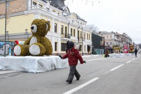 The child examines the shape of a bear