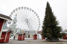 Christmas tree on Kontraktova Ploshcha