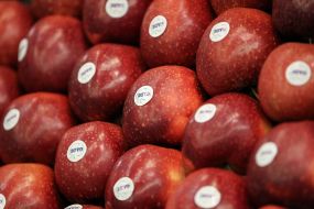 Apples