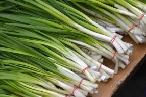 Green onions
