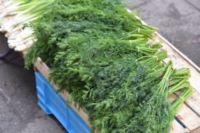 Dill tufts