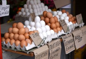 Tray with eggs