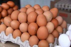 Tray with eggs