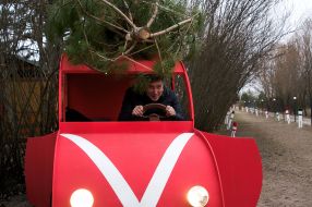 A man drives a Christmas tree on a truck