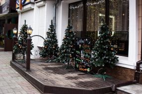 New Year's Christmas tree decorations near the cafe