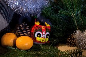 Mandarins and New Year's toy