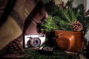The camera and the branches of the fir tree