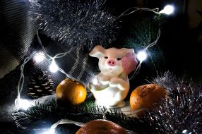 Mandarins and New Year's toy