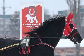 Check horse trotters