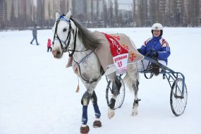 Check horse trotters