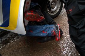 Police detain activist