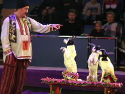 Alexander Falaleev and trained dogs