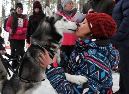 Dog breeds Siberian Husky with mistress