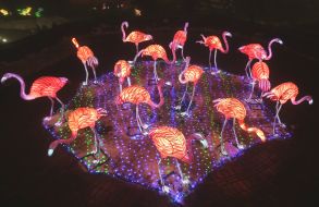 Lights in the form of a flamingo