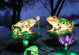 Lanterns in the form of frogs in the harness