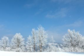 Morning fog in the Carpathians