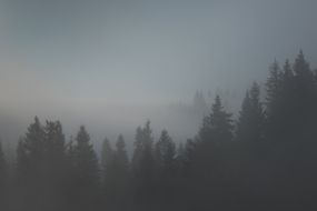 Morning fog in the Carpathians