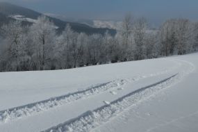 Footprints of the snowmobile