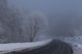 Mountain road in the fog