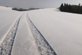 Footprints of the snowmobile
