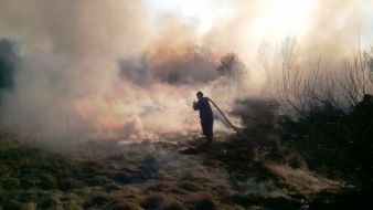 Dry grass fire in Zhytomyr region