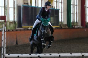 Open championship of the Lviv region of equestrian sport