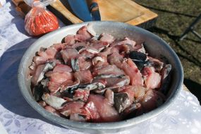 Pieces of fish