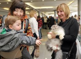 The exhibition of cats "Home Lions"