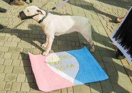 The dog stands next to the poster