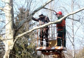 Игорь Сингер